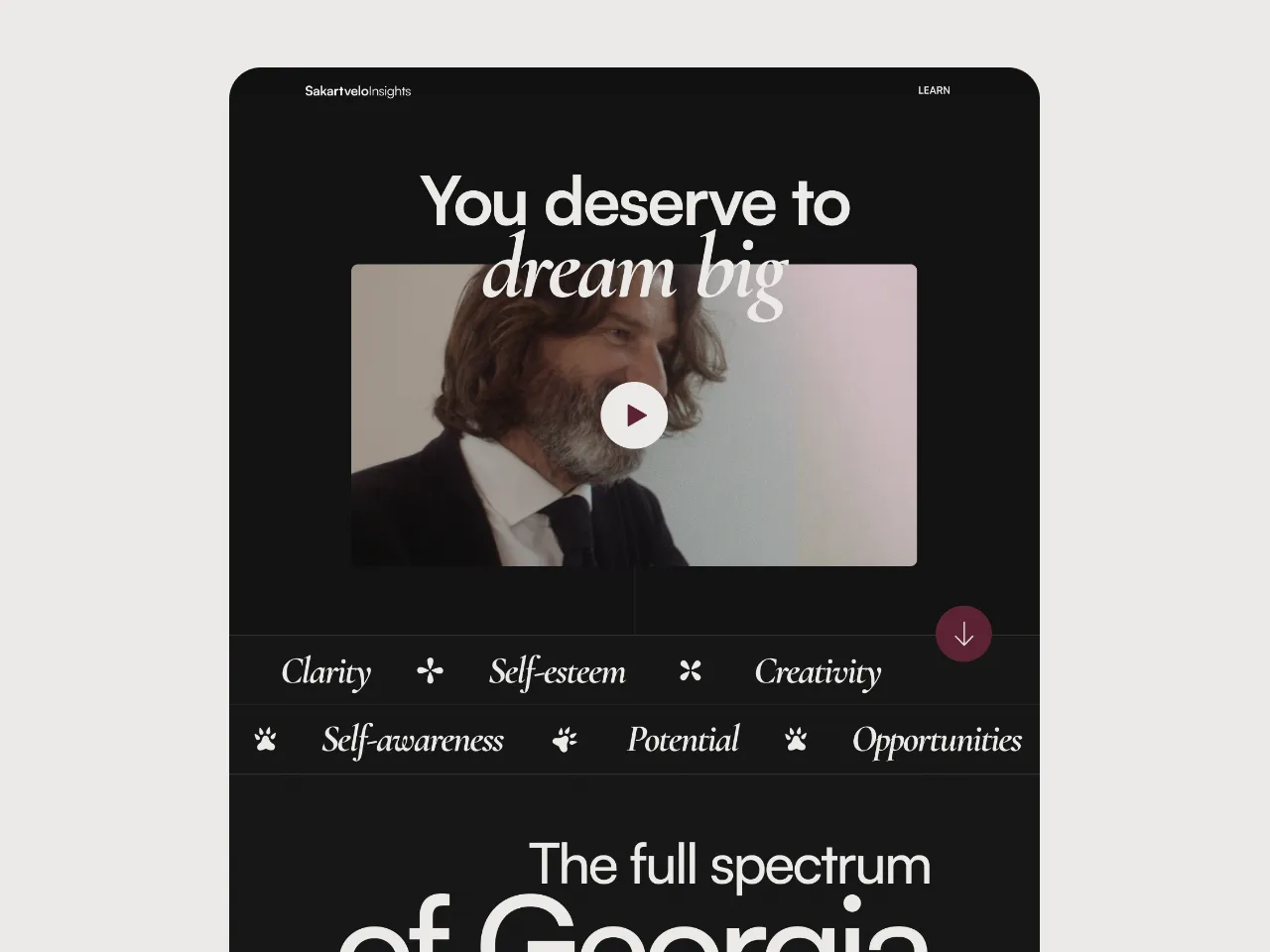 Screenshot of Sakartvelo Insight work