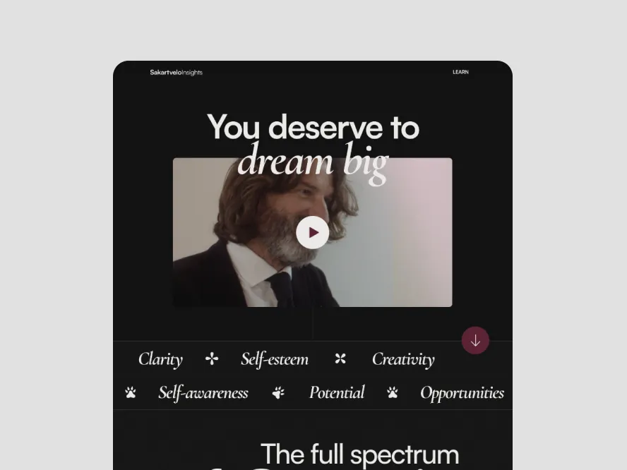 Screenshot of Sakartvelo Insight work